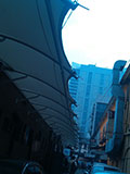 

Blue Frog Pop in Parel
